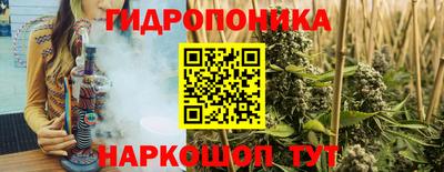 прущий лед Гусев