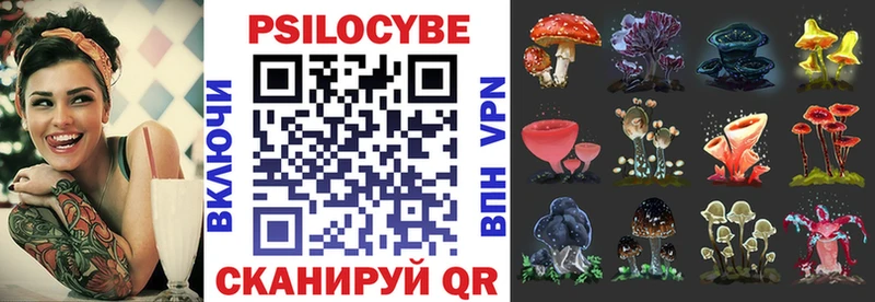 Псилоцибиновые грибы мухоморы  Тамбов 