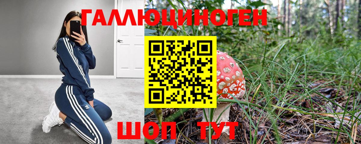 Тамбов  Псилоцибиновые грибы ЛСД  Вход с VPN  Псилоцибиновые грибы мицелий 